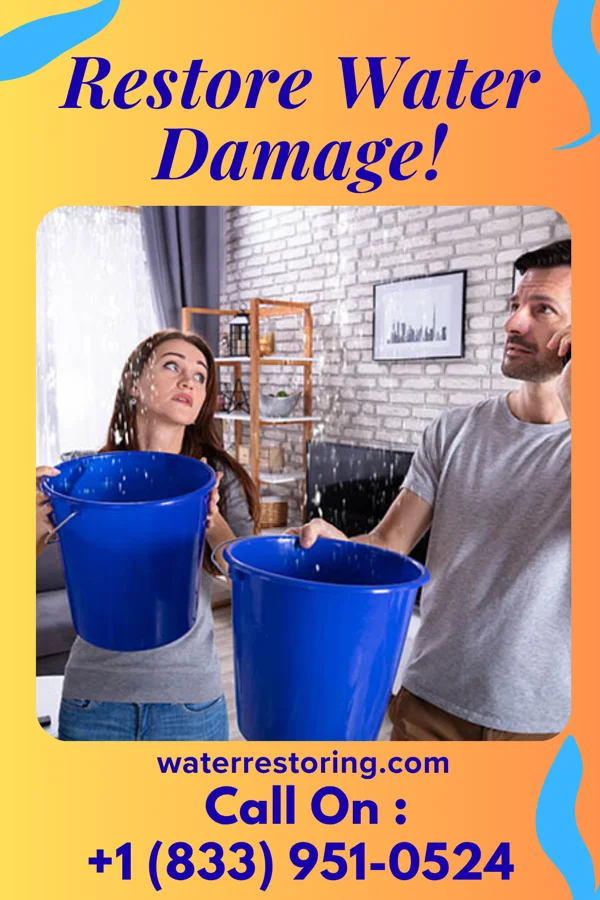water restoration Pro Water Cleanup Services Perrinton