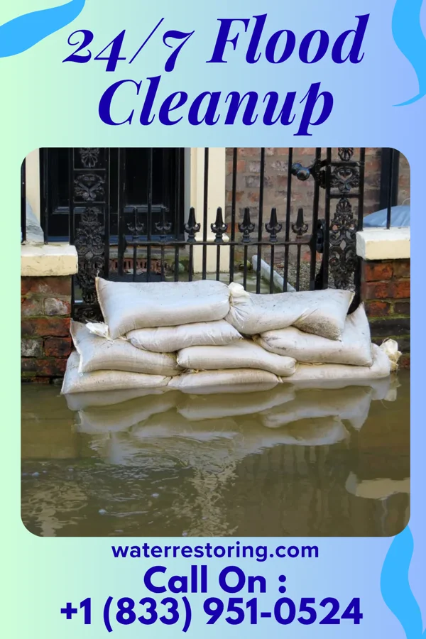 24/7 Flood Cleanup in Perrinton, MI