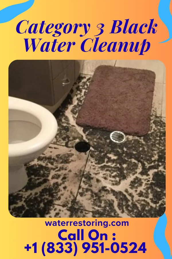 Category 3 Black Water Cleanup in Perrinton, MI