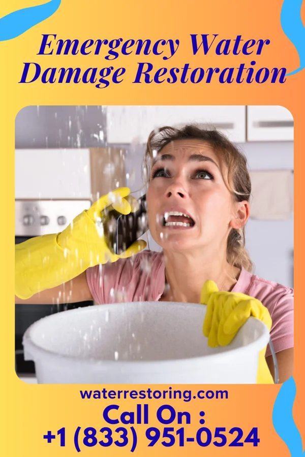 Emergency Water Damage Restoration in Perrinton, MI