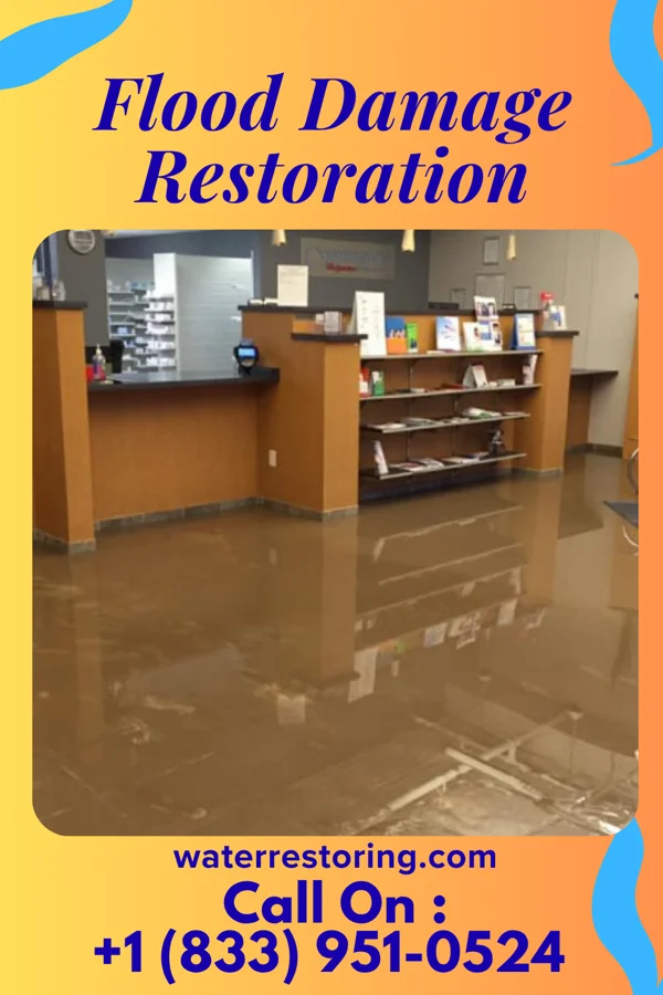 Flood Damage Restoration in Perrinton, MI