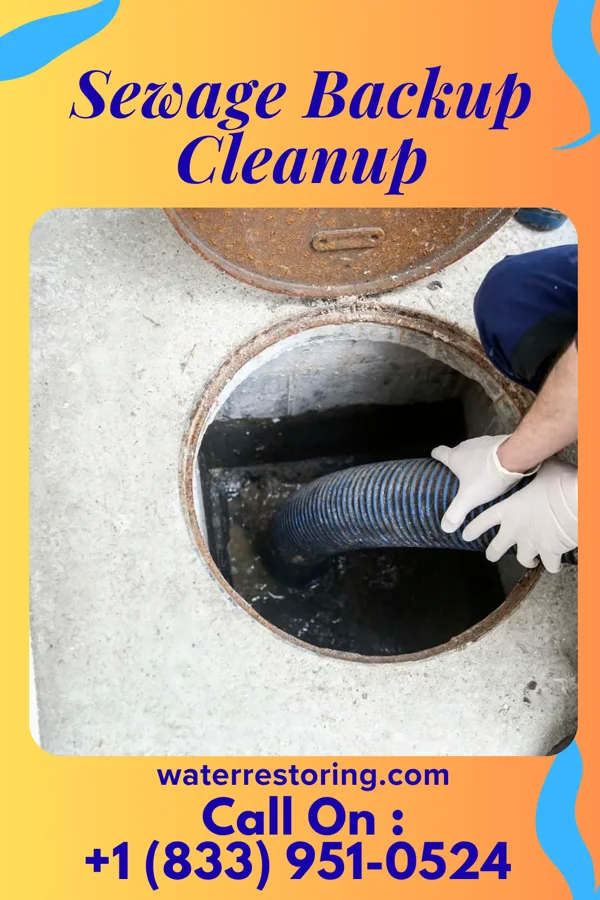 Sewage Backup Cleanup in Perrinton, MI