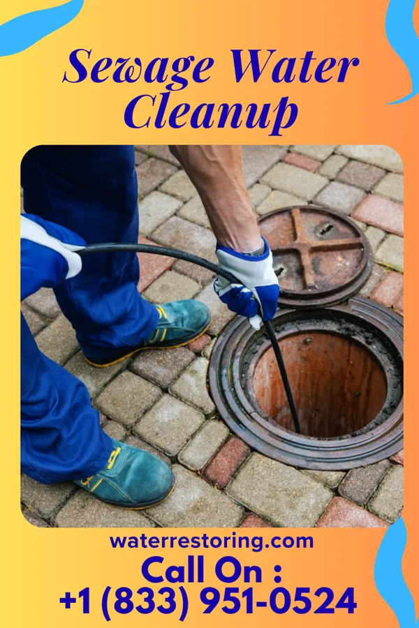 Sewage Water Cleanup in Perrinton, MI
